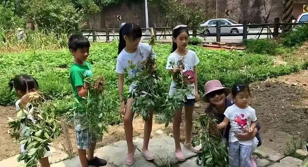 乐鱼体育app-小玥儿开通个人账号！发文求救，晒照思念妈妈，外婆和小S是好友
